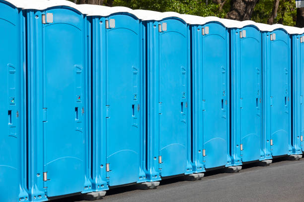 Best Portable Toilets with Baby Changing Stations in Aspinwall, PA